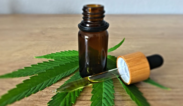 The Most Important CBD Solutions You Can Rely On To