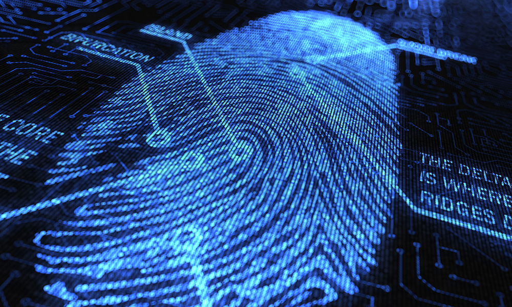 Decoding The Art & Key Components of Forensic Document Consulting